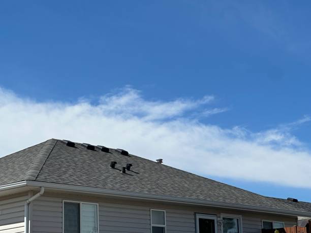 Trusted Shaw Heights, CO Roofing Experts